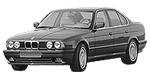 BMW E34 P0A40 Fault Code
